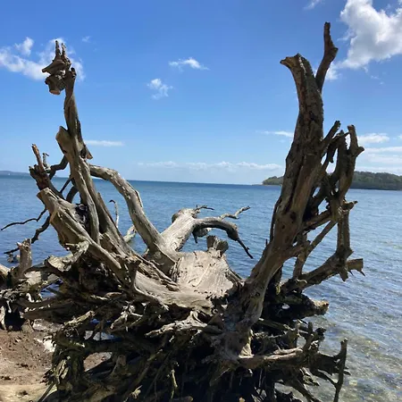 Lägenhet Duenenhaus Goehren (Ruegen)