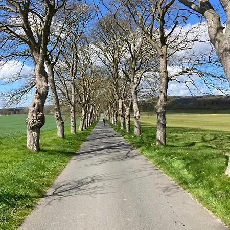 Duenenhaus Goehren (Ruegen)