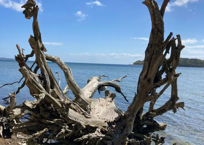 شقة Duenenhaus غورين